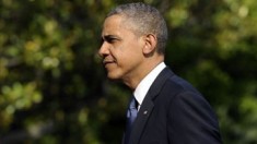 Obama's Approval Rating Survives Scandal Week