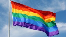 Illinois Legalizes Gay Marriage