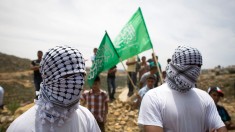 palestine israel conflict
