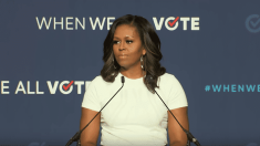 Michelle Obama, When We All Vote, Nastiness