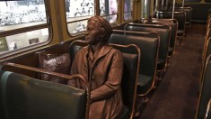 Louisville Buses Are 'Saving a Seat' for Rosa Parks