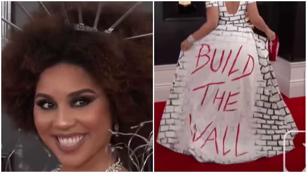 Joy Villa Wears 'Build the Wall' Dress at Grammys, Twitter Asks, 'Who?'
